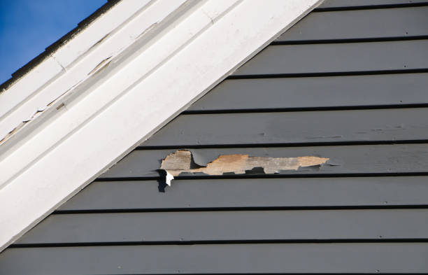 Best Custom Trim and Detailing for Siding  in Oak Park, MI