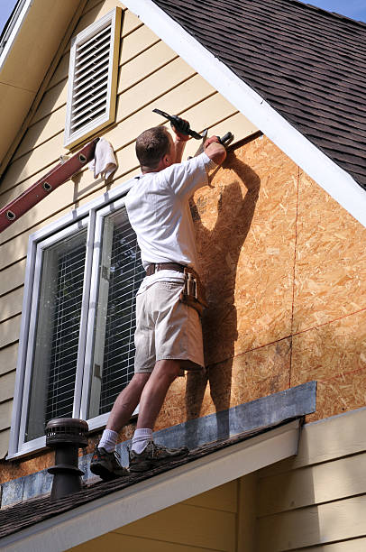 Best Historical Building Siding Restoration  in Oak Park, MI