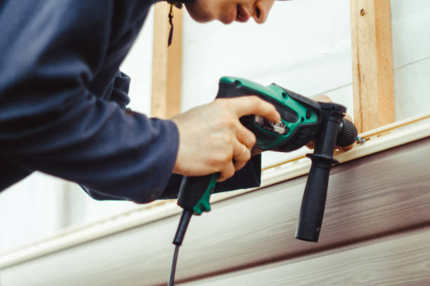Best Custom Siding Design  in Oak Park, MI